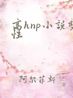 高hnp小说双性