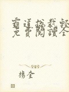 霸道总裁轻轻爱免费阅读全部
