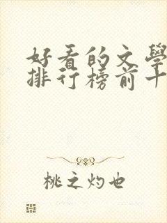 好看的文学小说排行榜前十名