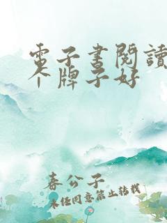 电子书阅读器哪个牌子好