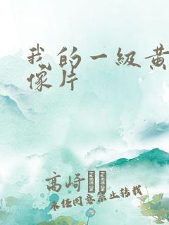 我的一级黄色录像片