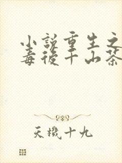 小说重生之将门毒后千山茶客正版