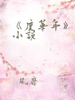 《度华年》原著小说