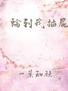 轮到我插屁眼