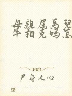 母亲属马儿子属牛相克吗怎样化解
