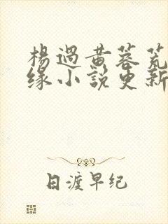杨过黄蓉荒岛情缘小说更新时间