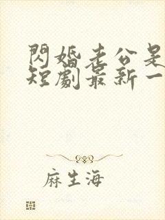闪婚老公是豪门短剧最新一集