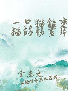 一只猫能变身红猫的动画片