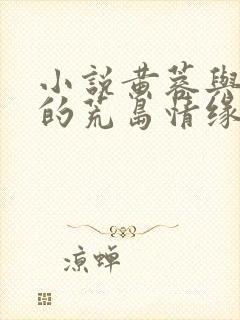 小说黄蓉与杨过的荒岛情缘全文免费阅读