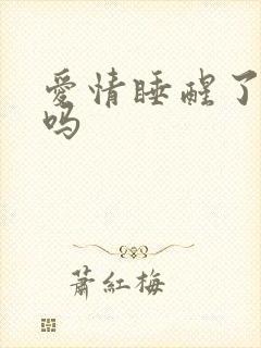 爱情睡醒了好看吗 爱情睡醒了好看吗
