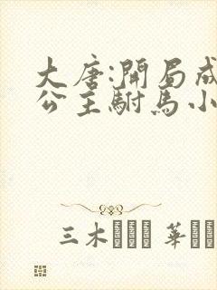大唐:开局成了公主驸马小说版