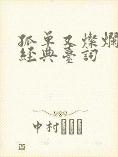 孤单又灿烂的神经典台词