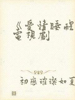 《爱情睡醒了》电视剧