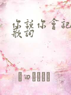 你说你会记得我歌词