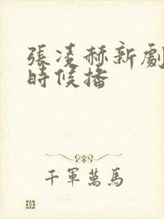 张凌赫新剧什么时候播