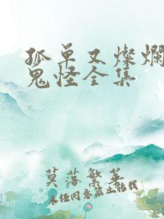 孤单又灿烂的神鬼怪全集