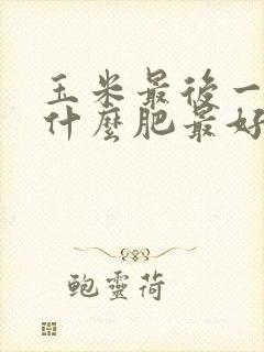 玉米最后一次施什么肥最好