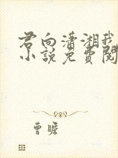 君向潇湘我向秦小说免费阅读