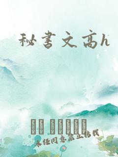 秘书文高h