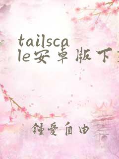tailscale安卓版下载