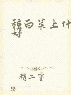 种白菜上什么肥好