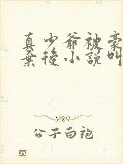 真少爷被豪门嫌弃后小说叫什么