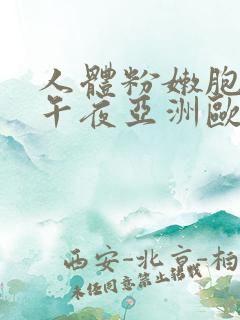 人体粉嫩胞国产午夜亚洲欧美