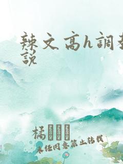 辣文高h调教小说