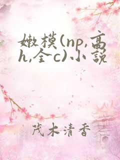 嫩模(np,高h,全c)小说 嫩模(np,高h,全c)小说