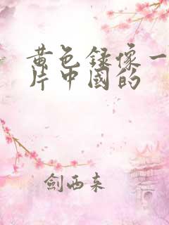 黄色录像一级大片中国的