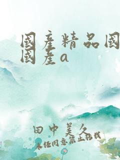 国产精品国三级国产a