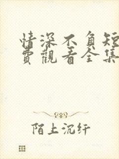 情深不负短剧免费观看全集高清版