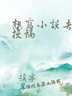 想写小说去哪里投稿
