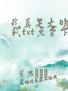 我真是大明星下载txt免费下载