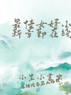 最佳女婿小说最新章节在线