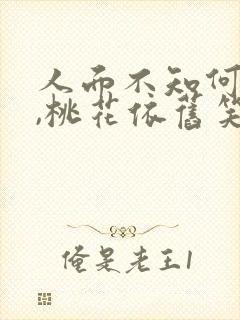 人面不知何处在,桃花依旧笑春风
