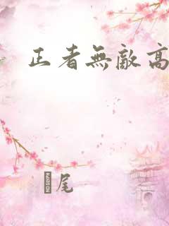 正者无敌高清