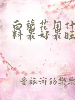 白兰花用什么肥料最好最旺
