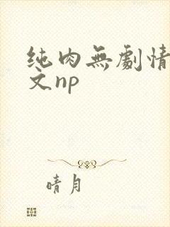 纯肉无剧情肉的文np