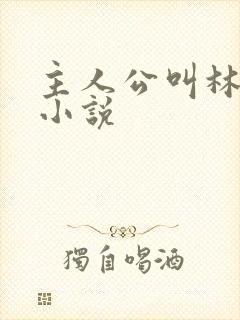 主人公叫林玄的小说