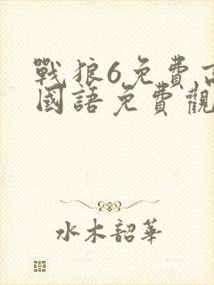 战狼6免费高清国语免费观看