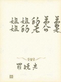 姐姐的弟弟和姐姐的老公是什么关系
