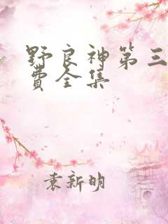 野良神第三季免费全集