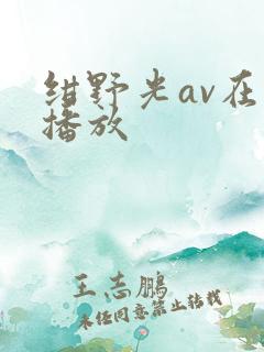 绀野光av在线播放