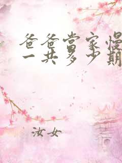 爸爸当家慢享季一共多少期