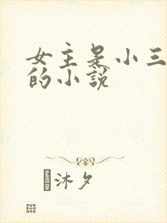 女主是小三上位的小说