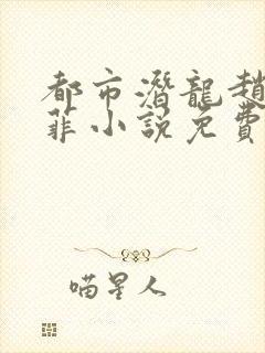 都市潜龙赵东苏菲小说免费在线阅读完整版