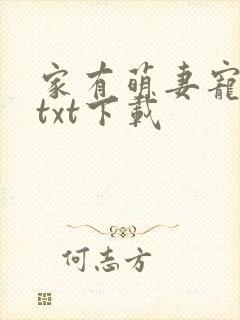 家有萌妻宠上天txt下载