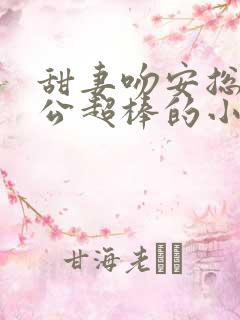 甜妻吻安总裁老公超棒的小说txt