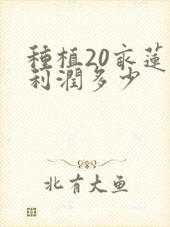 种植20亩莲子利润多少